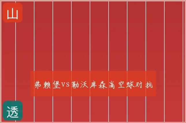 弗赖堡vs勒沃库森高空球对抗